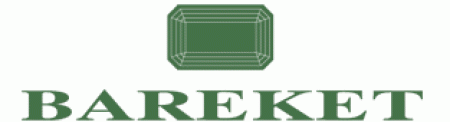 Juvelyrinių dirbinių salonas "BAREKET" logo