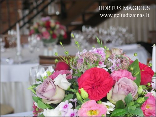 Puošimas HORTUS MAGICUS gėlių dizainas