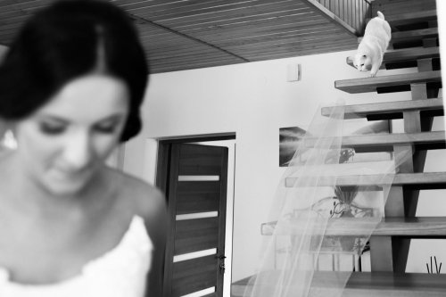 Foto paslaugos, fotografija „Fotogidas“ – prisiminimai, įamžinti su meile.