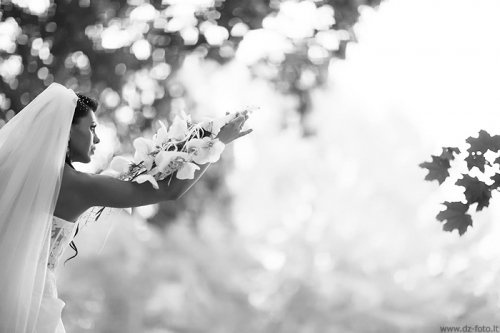 Foto paslaugos, fotografija DZ-FOTO | Donatas Zaščiurinskas