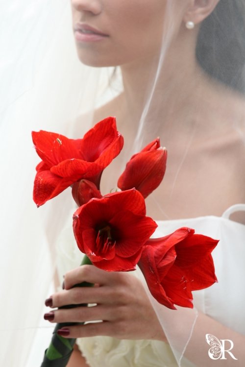 Foto paslaugos, fotografija Fotomenininkė Renata Milie