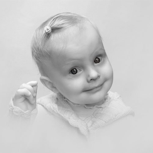 Fotostudija Tigra
