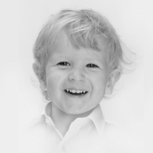 Fotostudija Tigra