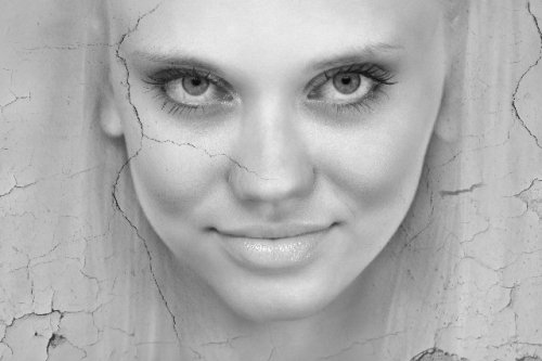 Fotostudija Tigra