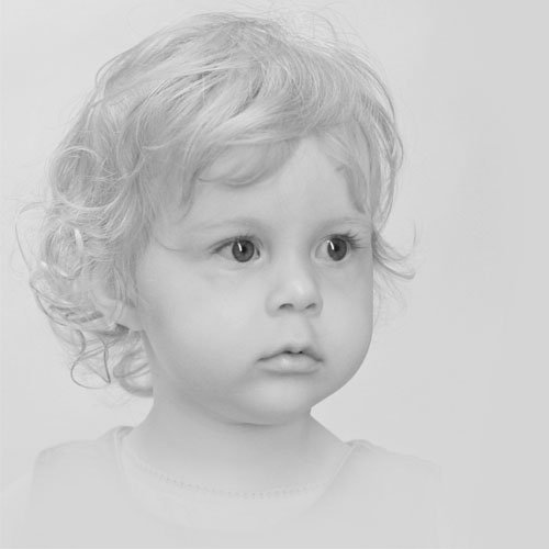 Fotostudija Tigra