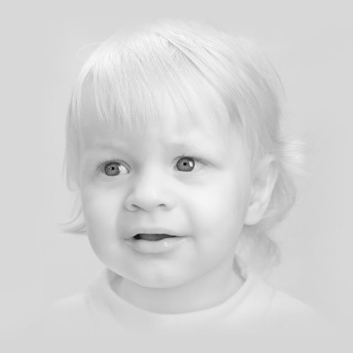 Fotostudija Tigra