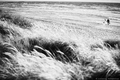 Foto paslaugos, fotografija Fotografo Paslaugos