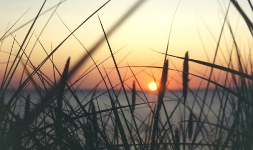 Romantiškas savaitgalis Romantiškas savaitgalis Nidoje, viloje "Miško namas"