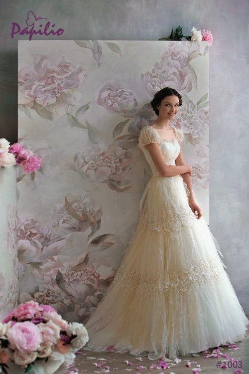 Vestuvinių suknelių salonai LA ROSA