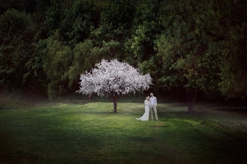 Foto paslaugos, fotografija Vestuvių fotografija