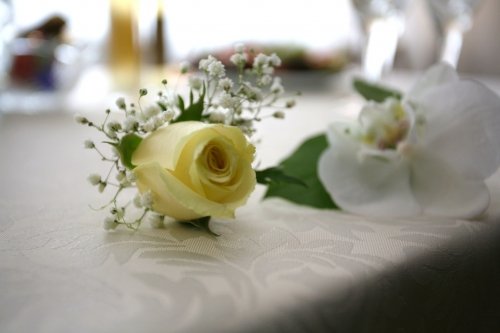 Puošimas Profesionalių floristų paslaugos