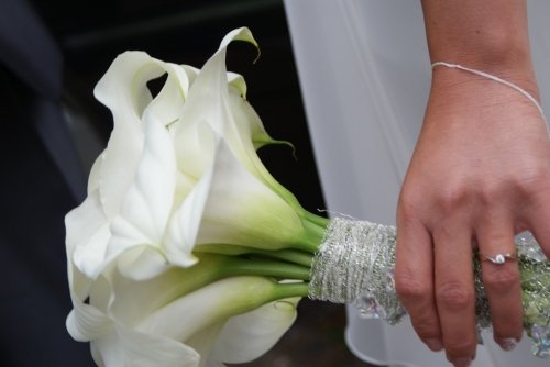 Puošimas Profesionalių floristų paslaugos