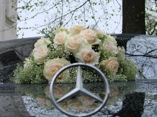 Puošimas Profesionalių floristų paslaugos