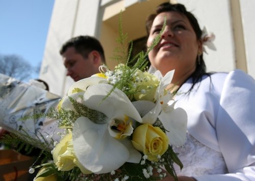 Puošimas Profesionalių floristų paslaugos