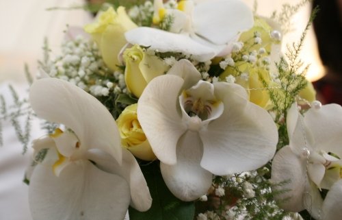 Puošimas Profesionalių floristų paslaugos