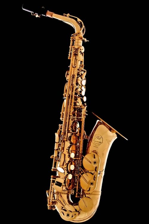 Muzikantai vestuvėms Profesionalių Muzikantų paslaugos visoje Lietuvoje ir europoje.