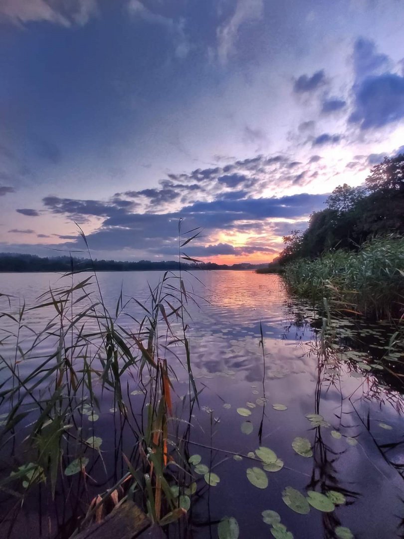 Sodybos, dvarai, vilos „Bitės vila“ Jūsų šventei