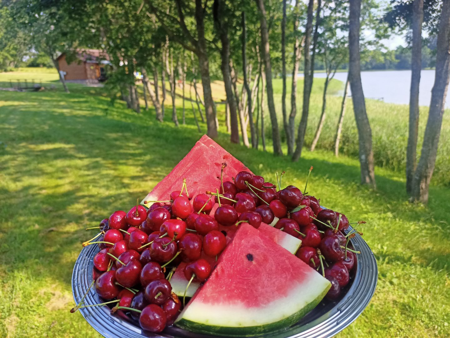Sodybos, dvarai, vilos „Bitės vila“ Jūsų šventei