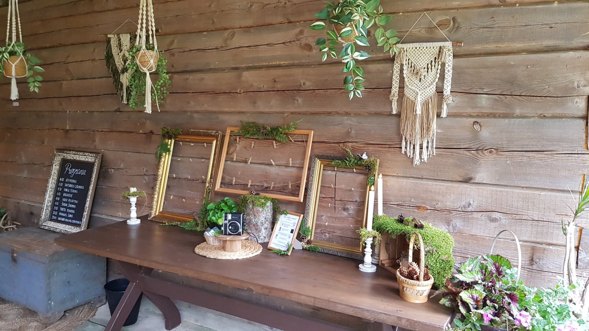 Sodybos, dvarai, vilos Vestuvės miškų apsuptame vienkiemyje