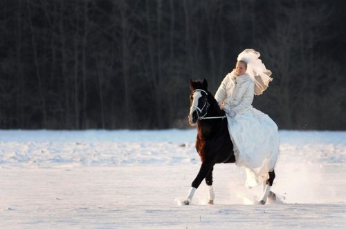 Foto paslaugos, fotografija Vestuvių fotografai - MARRY.LT