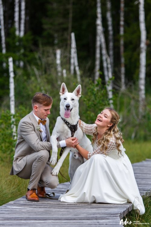 Foto paslaugos, fotografija Įdomus ir kūrybiškas vestuvių fotografas