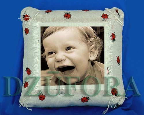 Foto paslaugos, fotografija Fotostudija "DZŪFORA" Lazdijuose
