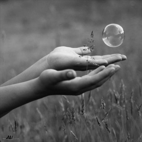 Foto paslaugos, fotografija Alina Ovčiarovienė www.avfoto.eu