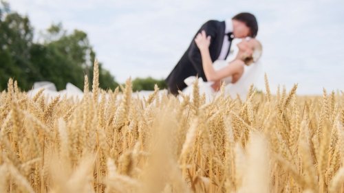 Vestuvių filmuotojai AuraStudio- Fotografų ir Operatorių komanda