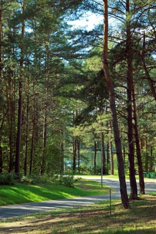 Sodybos, dvarai, vilos ,,Vila Kelmynė" - viešbutis, įsikūręs Molėtų priemiestyje.