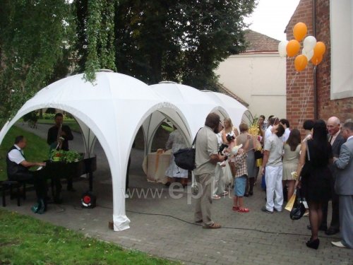 Palapinės Išskirtinių paviljonų, palapinių, pavėsinių nuoma Jūsų šventei.