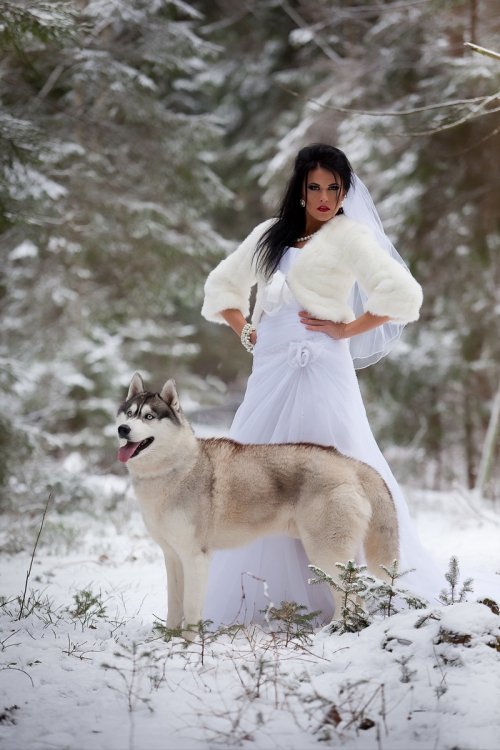 Foto paslaugos, fotografija  Vestuvių fotografavimas;