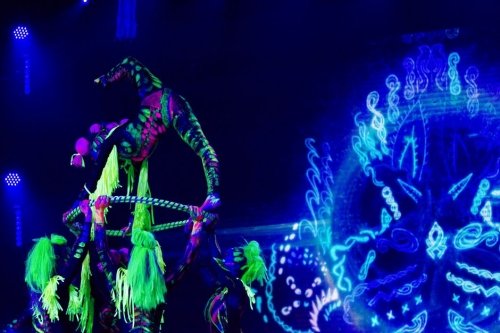 Balandžių nuoma DIAMONDS SHOW - šou programos