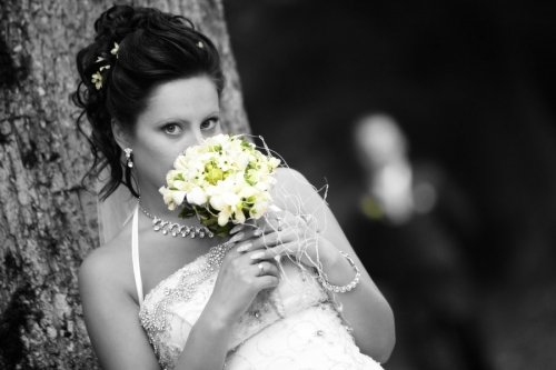 Foto paslaugos, fotografija Vestuviu fotografas Aleksandras