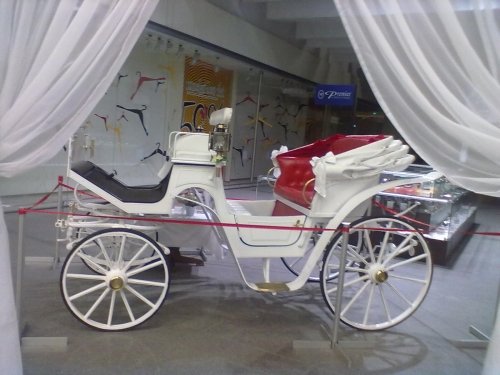 Kito transporto nuoma  Balta karieta. Ilgai ir laimingai