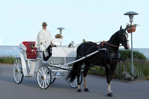 Kito transporto nuoma  Balta karieta. Ilgai ir laimingai