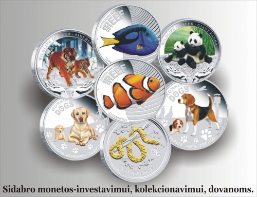 Vestuvių dovanos Solidi ir išmintinga dovana kiekvienai progai