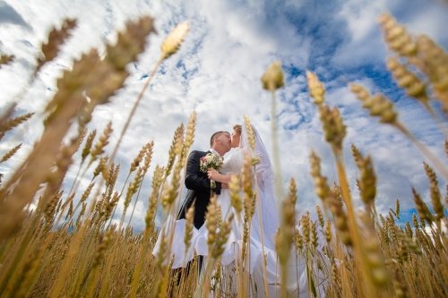 Foto paslaugos, fotografija Dfoto.lt Fotografija