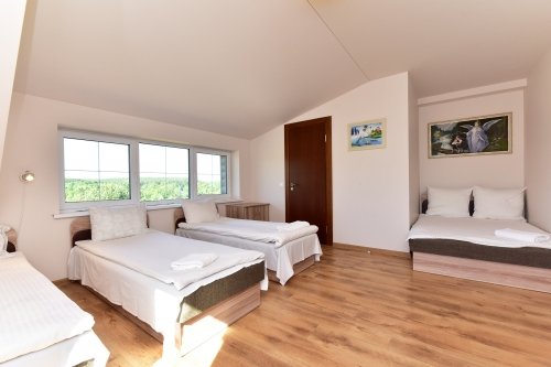 Sodybos, dvarai, vilos Vila ILGAI - ypatinga vieta ant ežero kranto šalia Trakų