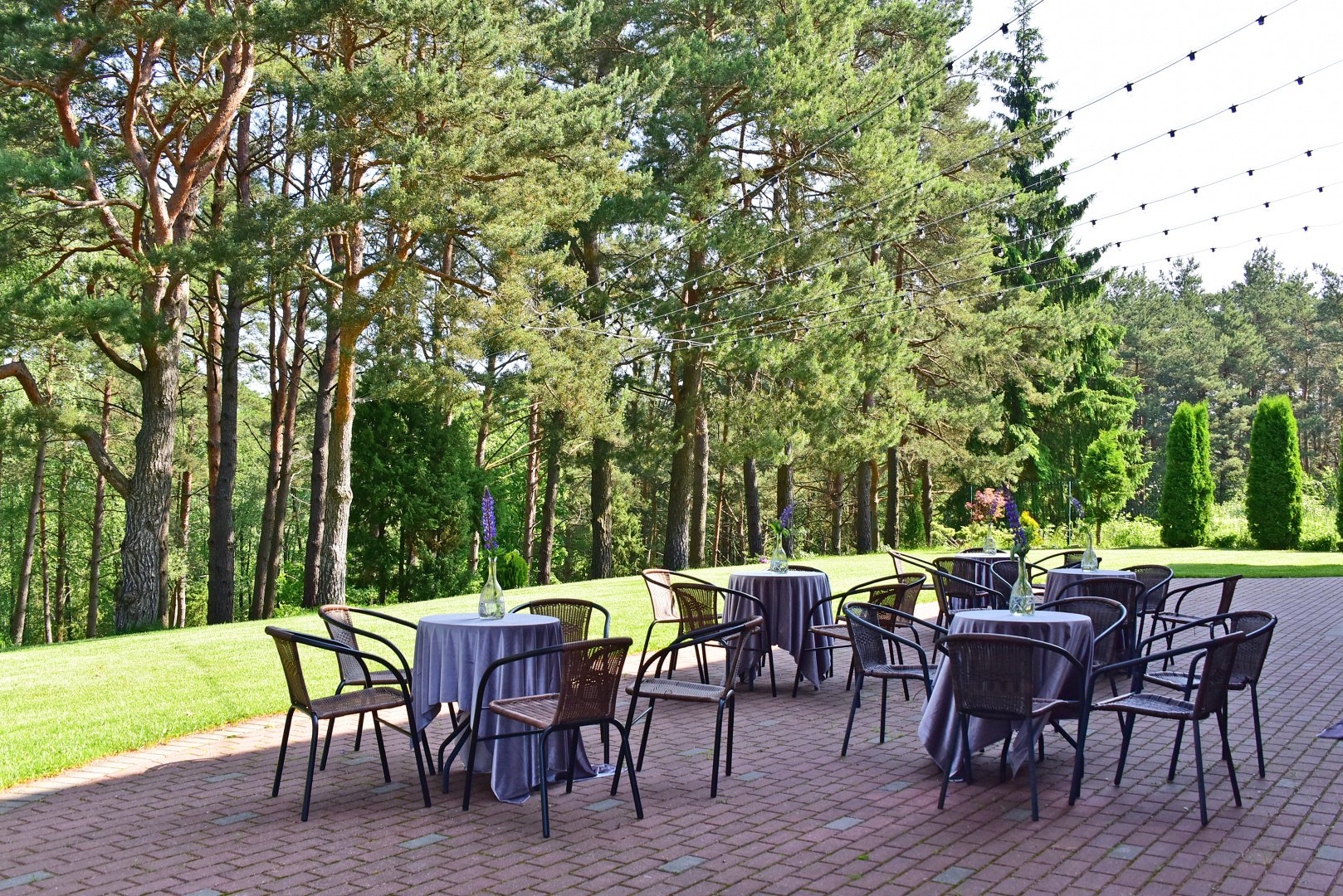 Sodybos, dvarai, vilos La Villa Royale- privatumo oazė visai šalia sostinės!