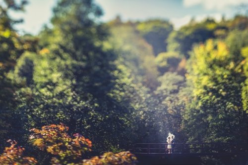 Foto paslaugos, fotografija Vestuvių Fotografija