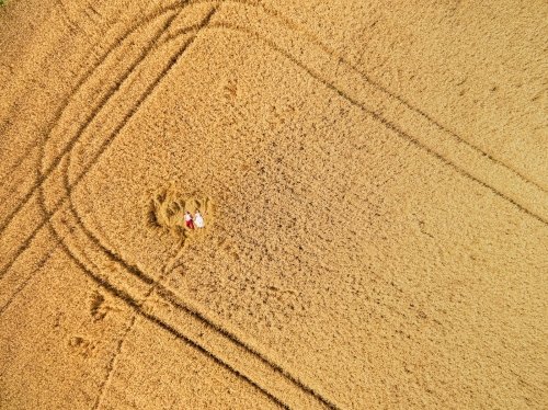 Foto paslaugos, fotografija Vestuvių, krikštynų fotografas Mažeikiuose, Vilniuje