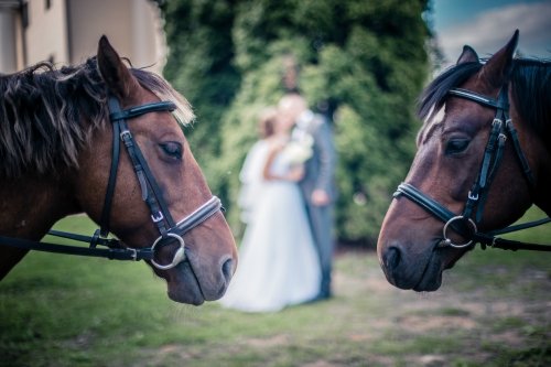 Foto paslaugos, fotografija Masiulida media - Kūrybiškas požiūris į fotografiją