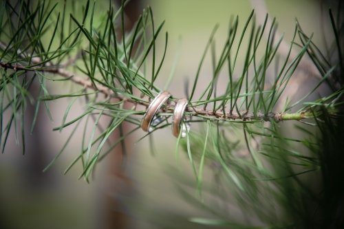 Foto paslaugos, fotografija Masiulida media - Kūrybiškas požiūris į fotografiją