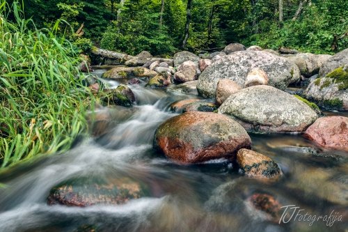 Foto paslaugos, fotografija Vestuvių, krikštynų asmeninis fotografas...