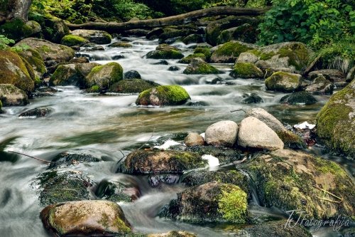 Foto paslaugos, fotografija Vestuvių, krikštynų asmeninis fotografas...