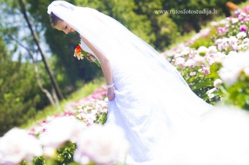 Foto paslaugos, fotografija Fotografe Ruta Andre Tel.: +370687 65703 www.rutosfotostudija.l
