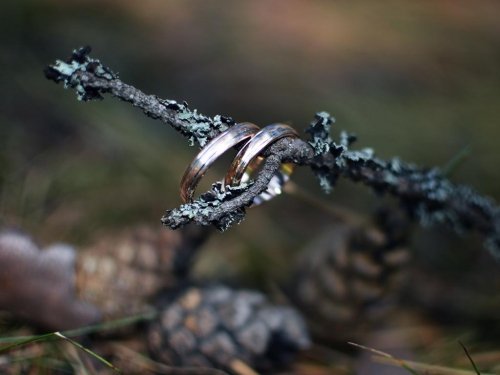 Foto paslaugos, fotografija Fotografė Elizaveta