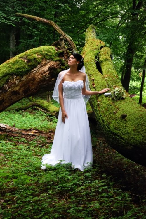 Foto paslaugos, fotografija www.zefyrai.lt Vestuvių fotografija. 