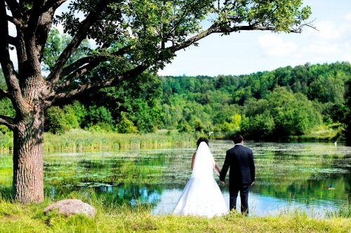 Vestuvių Fotografas Vilniuje Donatas Rimkus