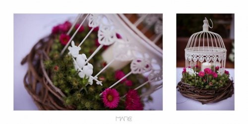 Puošimas FloraDainora - gėlių dizainerė